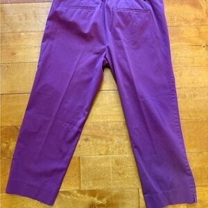 LOFT Men's Chinos in Rich Purple